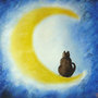 cat on the moon