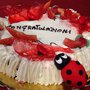 Coccinella Cake Topper per laurea interamente realizzato a mano in pasta FIMO