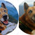 Ritratto su commissione cane gatto da foto acrilico su tela