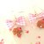 Novita FIMO - KAWAII - PAIO ORECCHINI con BISCOTTINI KAWAII con mela   e fiocco rosa a quadri