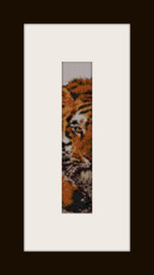 PDF schema bracciale Tigre in stitch peyote pattern - solo per uso personale 