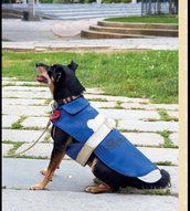 Vestito cane ecopelle