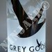 Vaso Grey Goose Lumière da bottiglia Magnum Limited Edition a Led
