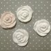 Rosa in gesso