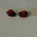orecchini a bottone coccinella portafortuna in fimo nero e rosso