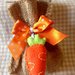 La carota di bunny