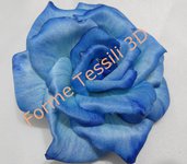 Rosa Blu - Forme Tessili 3D