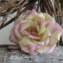 Rosa gialla screziata rosa - Forme Tessili 3D