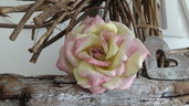 Rosa gialla screziata rosa - Forme Tessili 3D