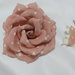 Rosa shabby color rosa a pois avorio - Forme Tessili 3D