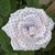 Rosa Shabby bianca con pois lilla - Forme Tessili 3D