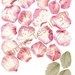 Rosa vintage rosa scuro - Forme Tessili 3D