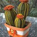 Composizione di cactus in feltro con fiore arancione