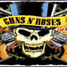 Tazza dei Guns N'Roses