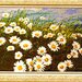 Daisies - Margherite - Schema Ricamo Punto Croce - Character Creations