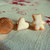 Orecchini a lobo miniature biscotti natalizi - Orecchini con biscotto orso - Orecchini in fimo - Idea regalo per Natale bambina