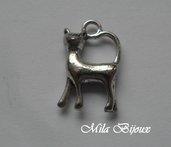 Charm Gatto 18x10 mm