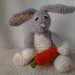 Piccolo coniglietto amigurumi