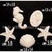 gessetti decorativi polvere di ceramica ideali per bomboniere stella marina cavalluccio