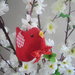 Uccellino primavera rosso