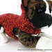 PATTERN SCHEMA per Red Fall Dog - cappottino a crochet uncinetto per cani o gatti Xsmall -