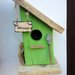 casetta per uccelli in legno - BETULLA -