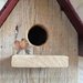 casetta per uccelli in legno - DALIA -
