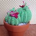 Cactus tondo medio