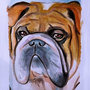 Acquerello dipinto a mano cane bulldog inglese