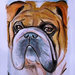 Acquerello dipinto a mano cane bulldog inglese