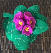 vaso di primule in feltro con fiori viola