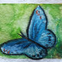 Aceo farfalla blu acquerello dipinto a mano