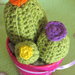 Cactus trio amigurumi