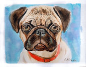 Ritratto acquerello cane carlino dipinto a mano 