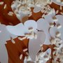 10 farfalle di carta fustellate, confetti per matrimonio 