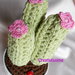 Cactus all'uncinetto con fiori rosa con vaso bianco 