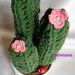Cactus all'uncinetto con fiori rosa pesca con vaso bianco 