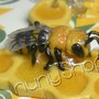 Collana Honeybees