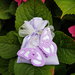 Sacchetto bomboniera porta confetti in lilla con farfalla per nascita, battesimo, prima comunione