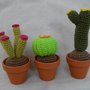 3 Cactus amigurumi