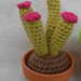 3 Cactus amigurumi