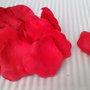 Petali di rose rosso vivo