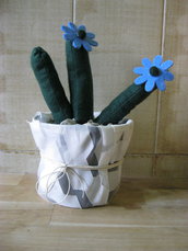 cactus con fiore azzurro