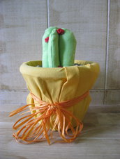 cactus con roselline in vaso giallo