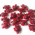 6 Perle ACRILICO Tartaruga rosso PRL126