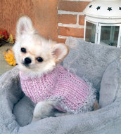 Taglia XS Romantico ed elegante maglione per chihuahua per cuccioli, chihuahua e piccoli cani Cappotto rosa per chihuahua Maglione rosa per Chihuahua fatto a mano Taglia XS