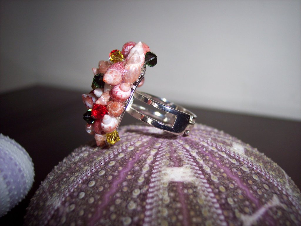 Anello mini conchiglia oro Arteon 23709-000