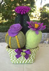 Composizione di tre cactus in feltro con fiori viola