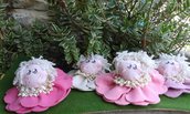 Piccole bambole gardenia