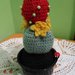Cactus pianta uncinetto lana